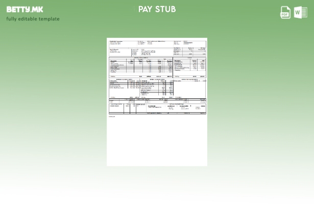 Модерен стил на OhioHealth Corporation Paystub шаблон